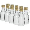 Galonipullo 40 ml kierrekorkilla - 10 kpl - 4 