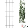 Kasvituki - puutarharistikko 150 x 45cm ['kasvituki', ' pensastuki', ' ristikkotuki', ' puutarhapergola', ' kasviristikko', ' kasvituki', ' kukkatuki', ' puutarhakasvituki', ' murattituki', ' terästuki', ' seinäkiinnitteinen tuki', ' köynnöskasvituki', ' ruusupensastuki', ' musta tuki', ' minkä kasvituen valita', ' hoidettu puutarha', ' köynnöskasviristikko', ' ruusutuki', ' murattituki', ' ruusupensaille', ' metalliset kukkatuet', ' puutarhatarvikkeet', ' miten hoitaa kasveja', ' suositellut kasvituet', ' ristikkomainen tuki', ' seinään kiinnitettävä tuki']