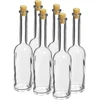 Likööripullo 100 ml 6 kpl + 6 korkkia - 5 