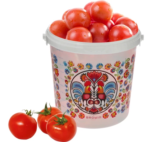Elintarvikeämpäri GWIOZDA - kannella, 10 L - 7