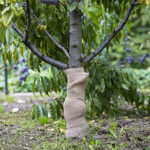 Juuttikangas 20 cm / 5 m - 5