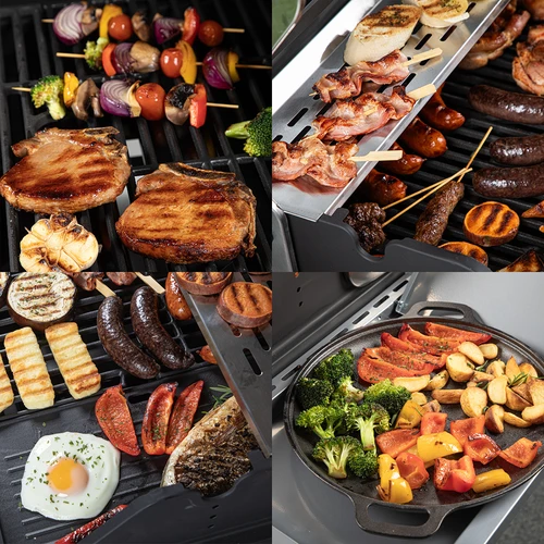 Kaasugrilli dragON BBQ101, 11,7 kW, musta-hopea - 11