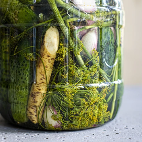Särkymätön hapatuspurkki, 3 L - 8