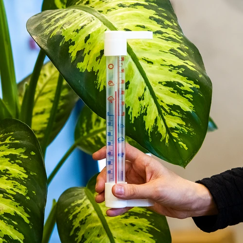 Ulkotermometri läpinäkyvällä asteikolla (-70°C - +50°C) 23cm mix - 3