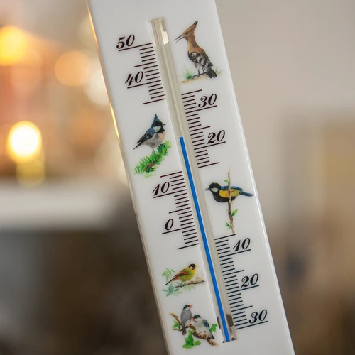 Yleismittari grafiikalla - linnut (-30°C - +50°C) 20cm - 4