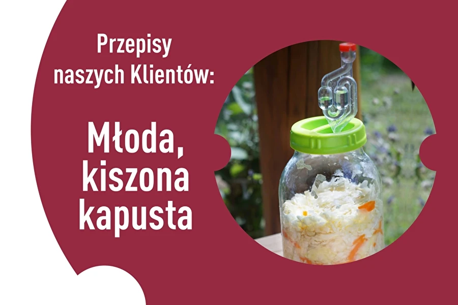 Browin Przepiśnik - Asiakkaidemme reseptit: Hapatettu varhaiskaali