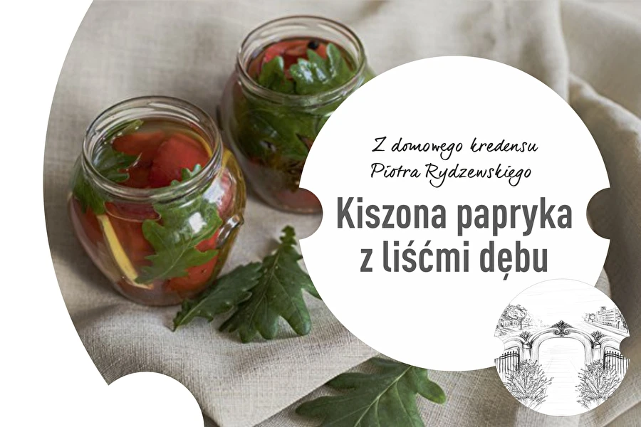 Jakso 2: Hapatettu paprika tammenlehdillä