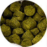 Olutpanimo